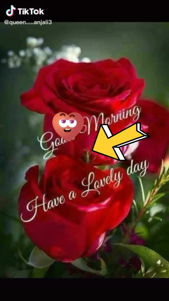 @Shalu Shalu