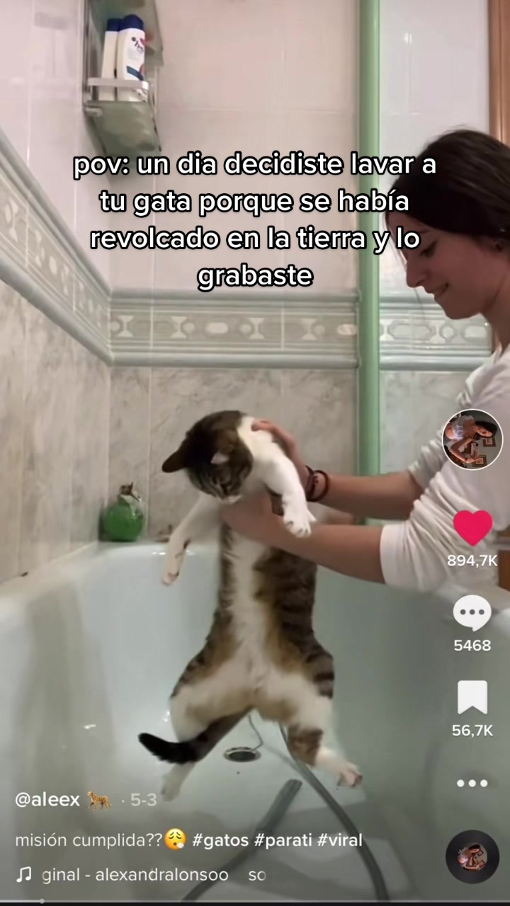 @aleex 🐆