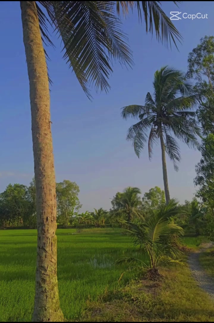 @Cậu2đangđilính🇻🇳🫡