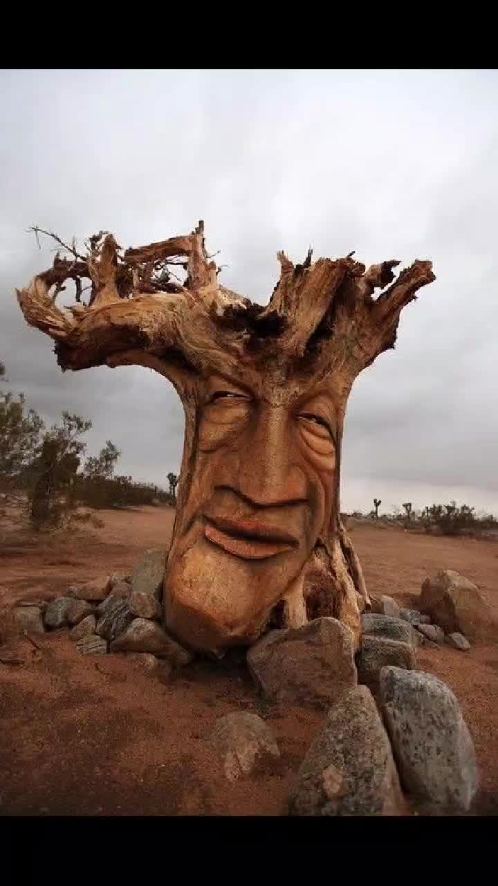 @malikmubeen302324
