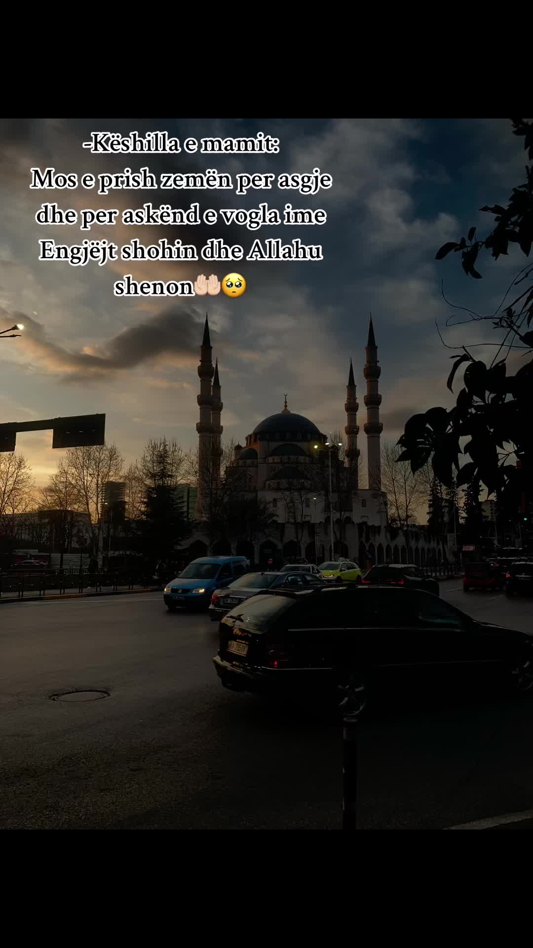 @Syt e tu i kom bo tatoo🥺🤍
