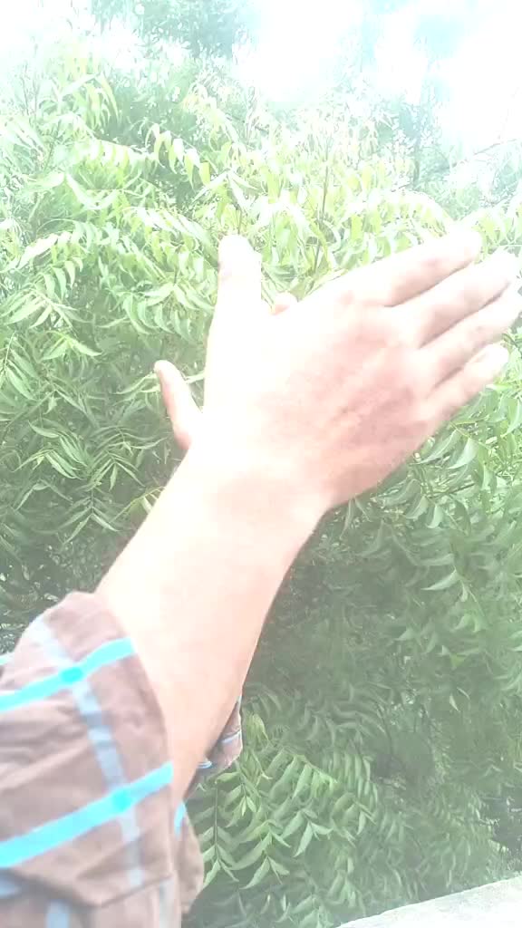 @Hasib 685