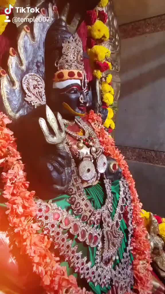 @Temple007
