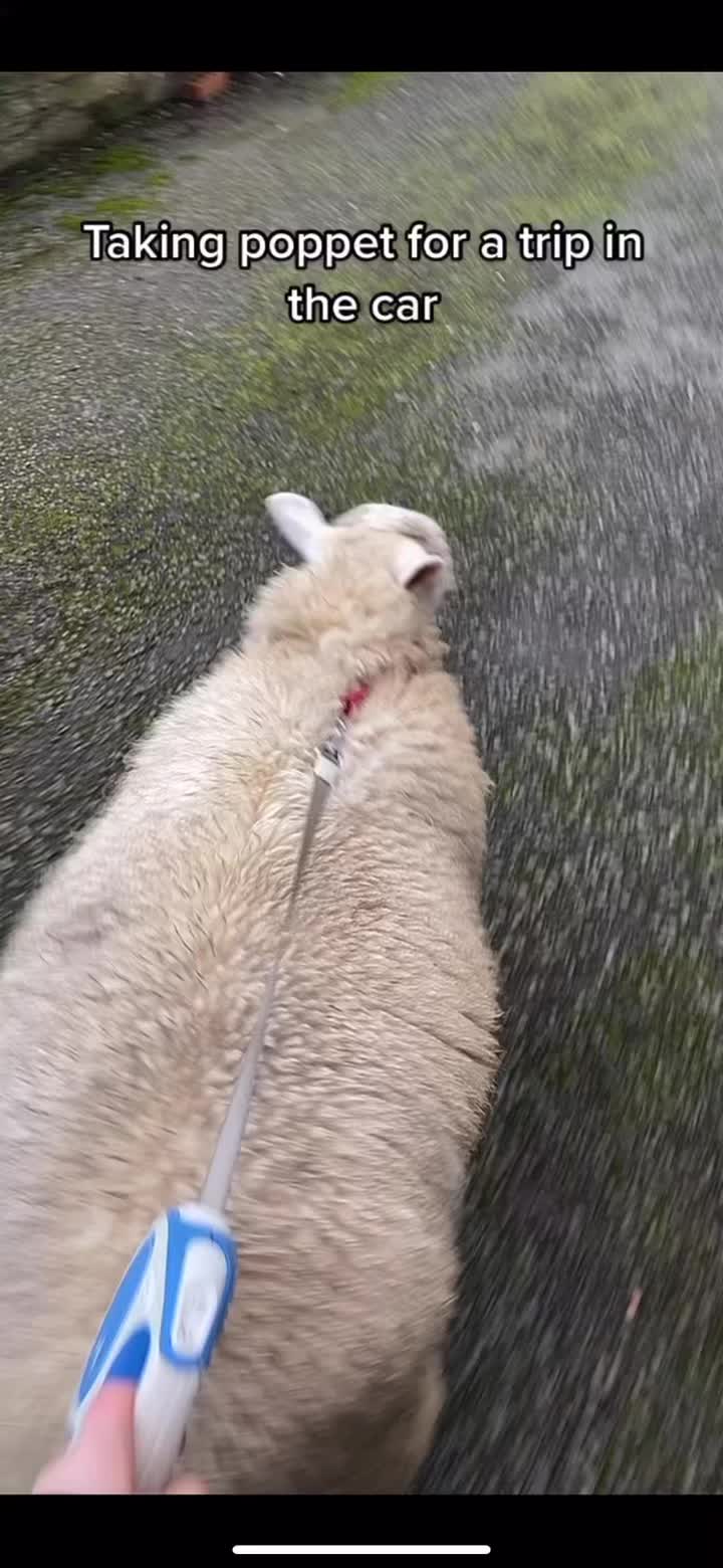 @Farming7744