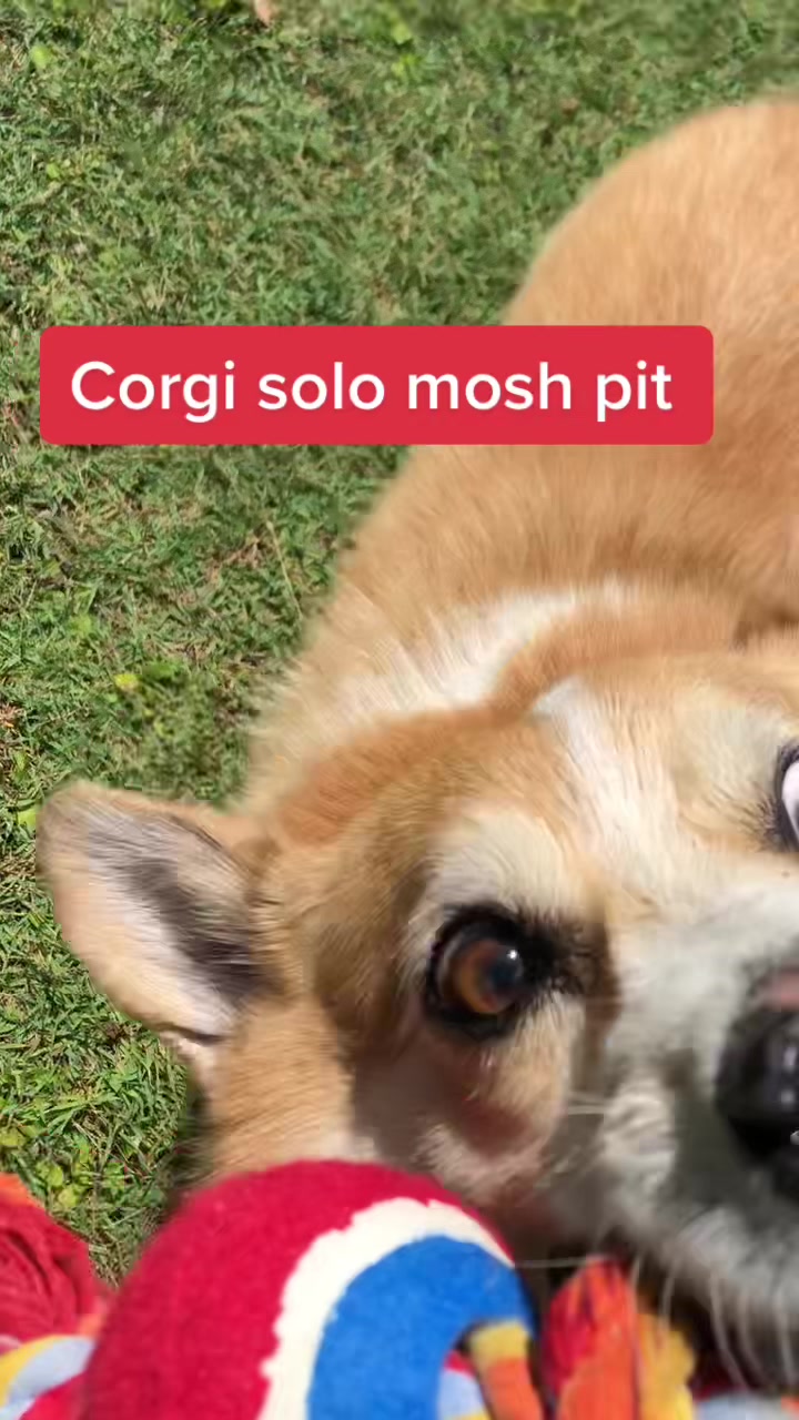 @matschulz