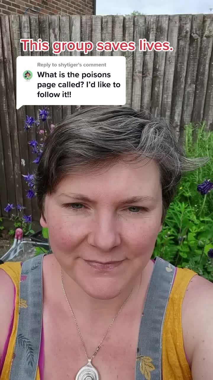 @Wild_About_the_Woods