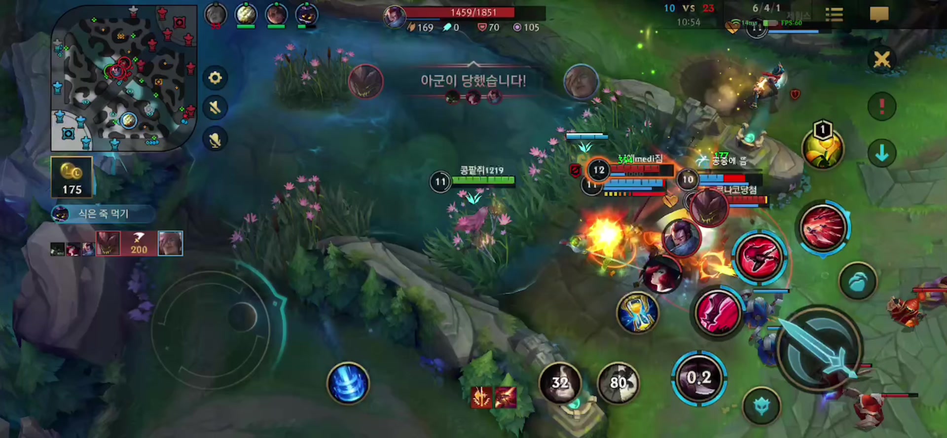 @댕댕이