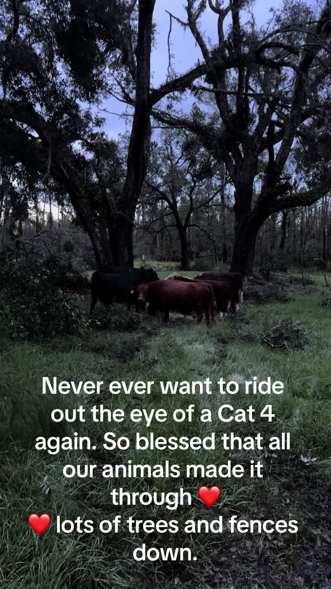 @Kelley Farms