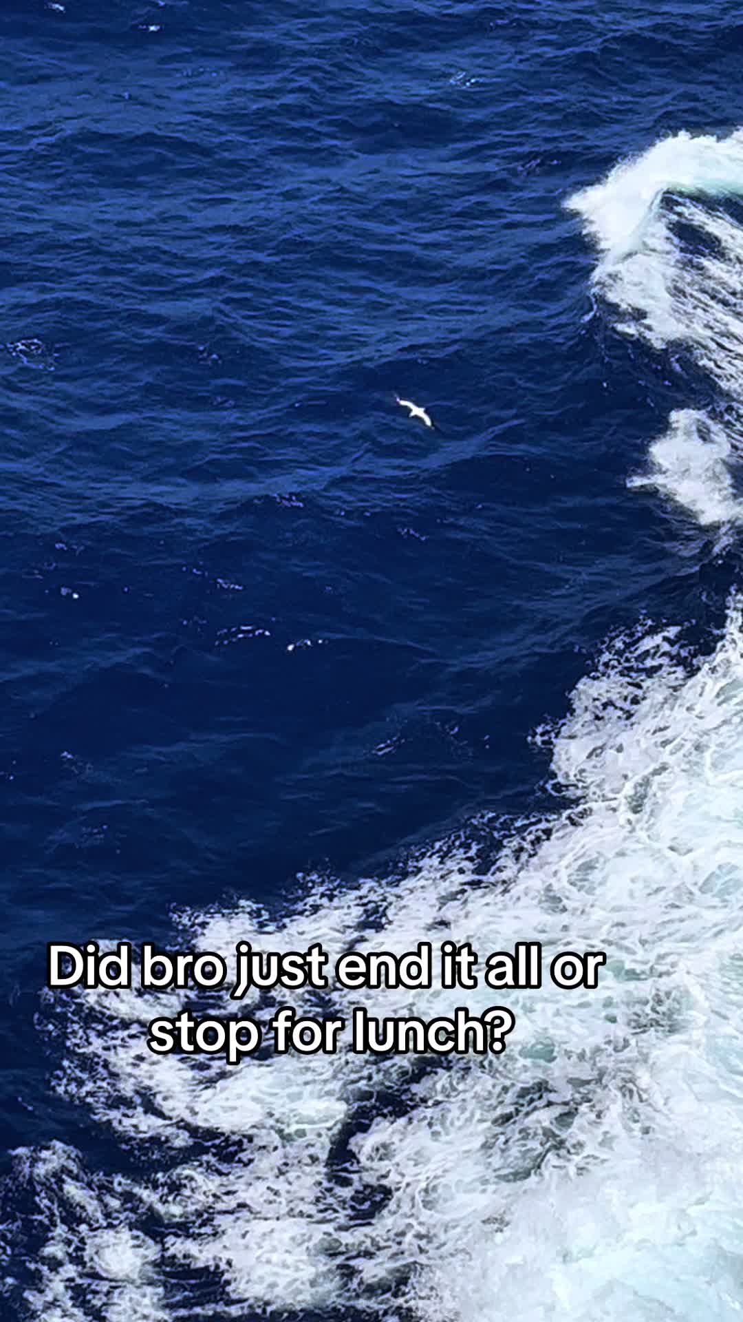 @stopspinskydiving