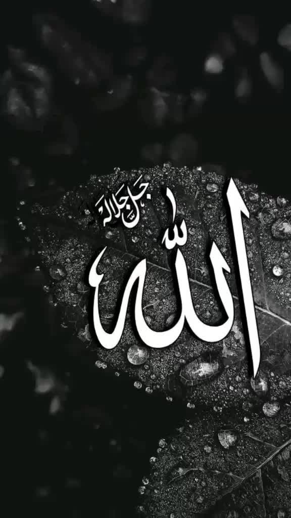 @md.Shamsul