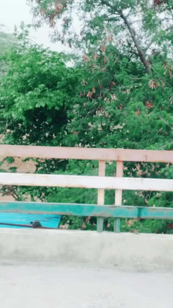 @jinumasar