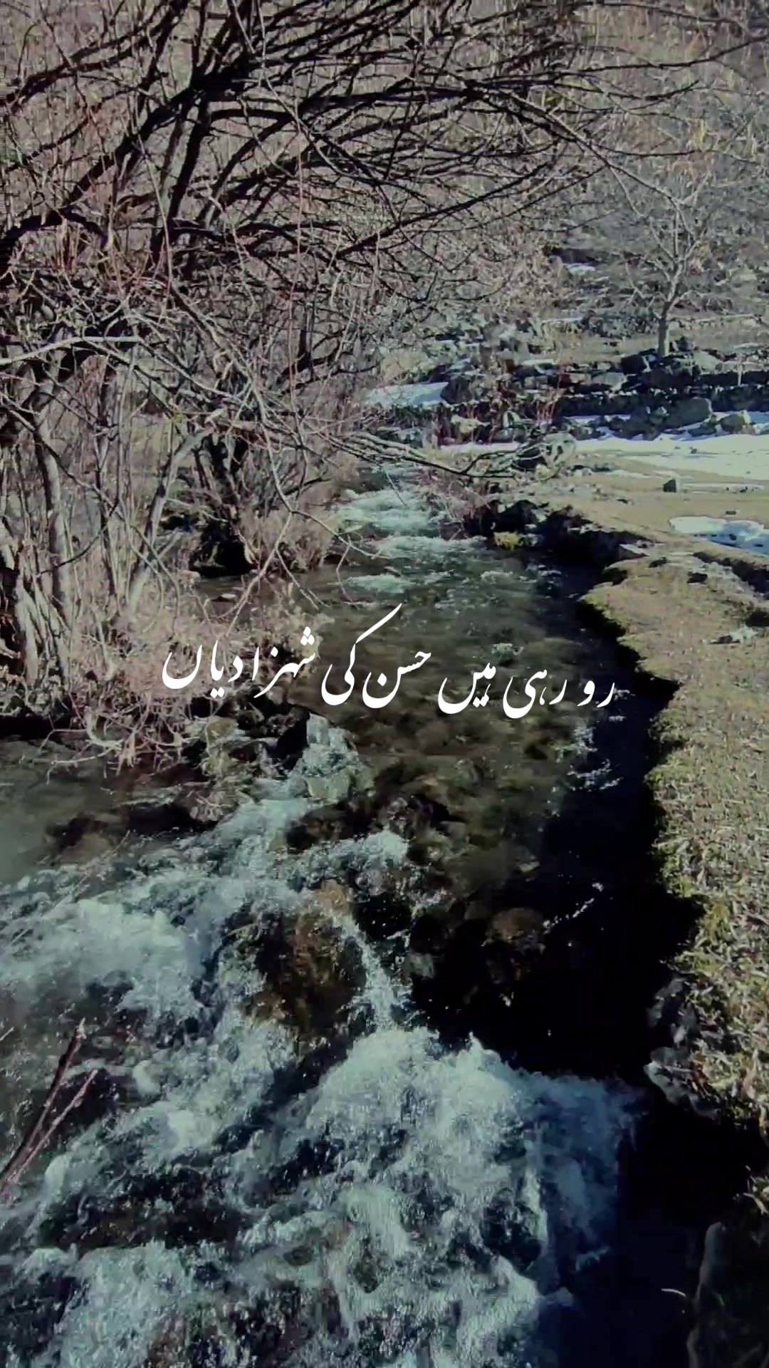 @Bazme_Chitral