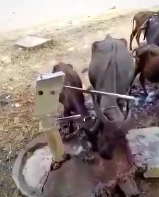 @Krishan__mehlawat