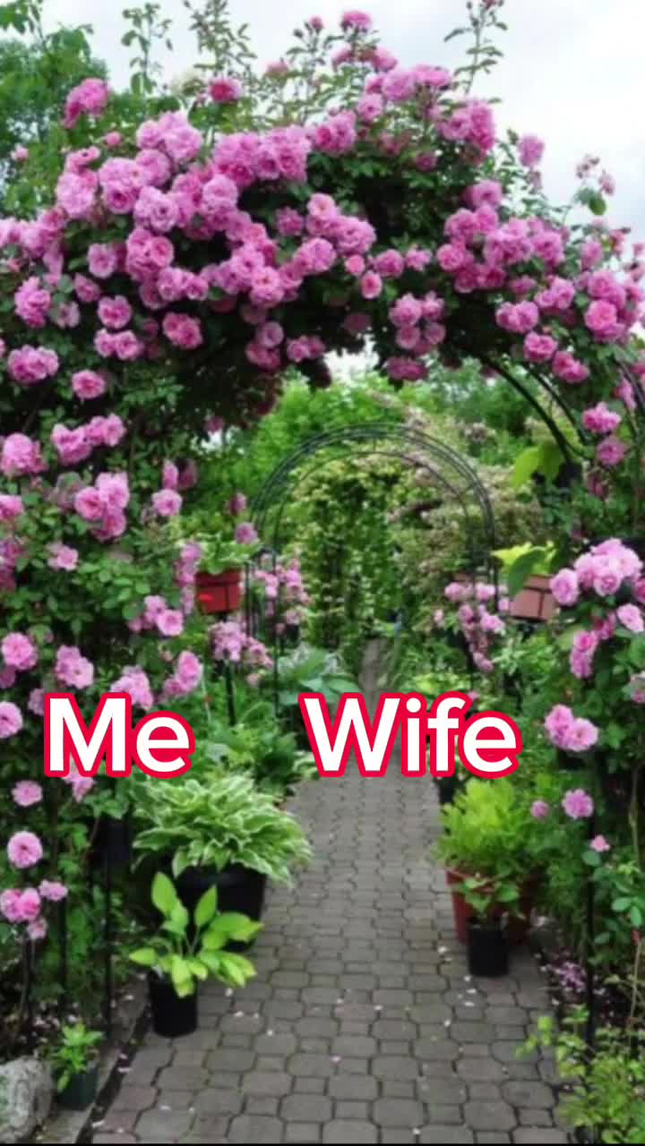 @dilsunari2