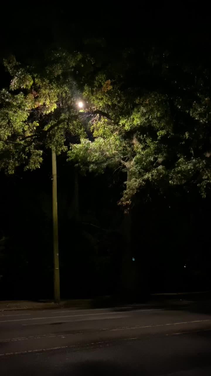 @⟭⟬ ⁷
