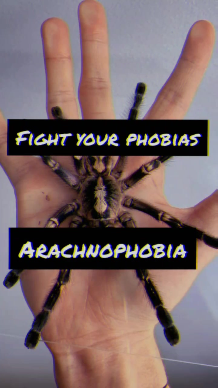 @ ️ 