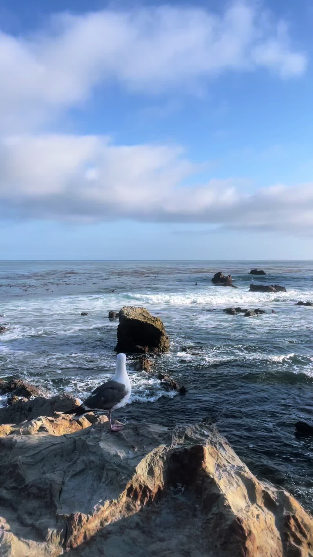 @🧚♀️