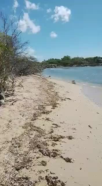 @marmolito96
