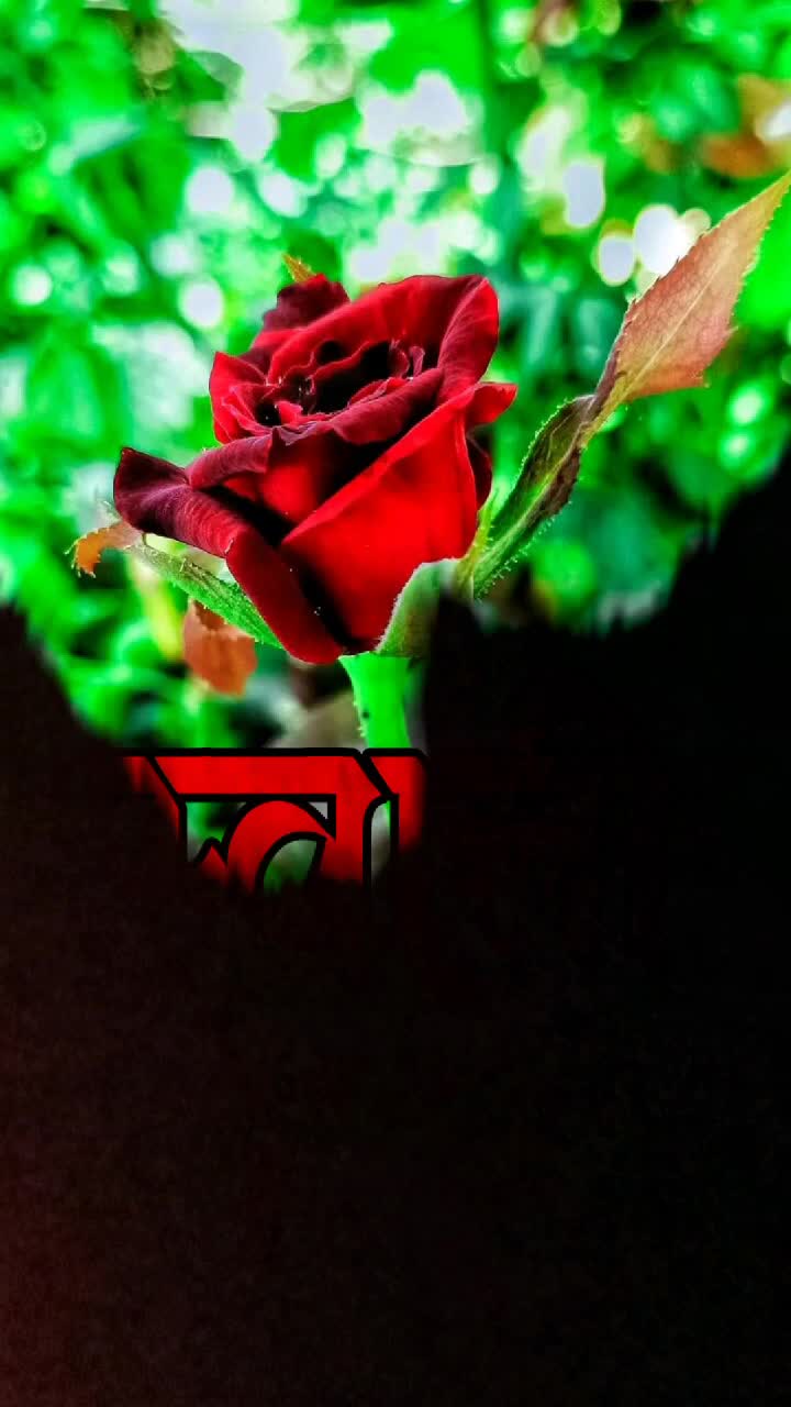 @आम्ही_धुळे_पाडळदे_कर