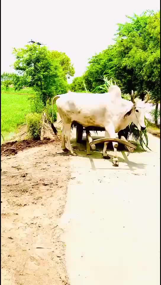 @Kiran