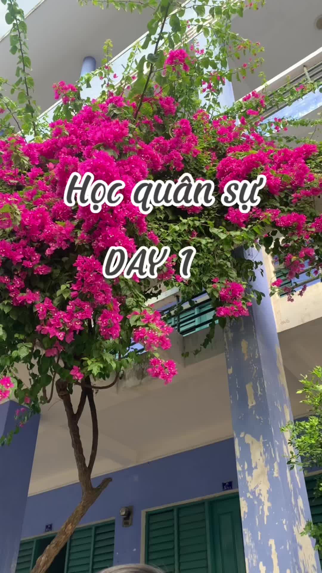 @Quỳnh Như !