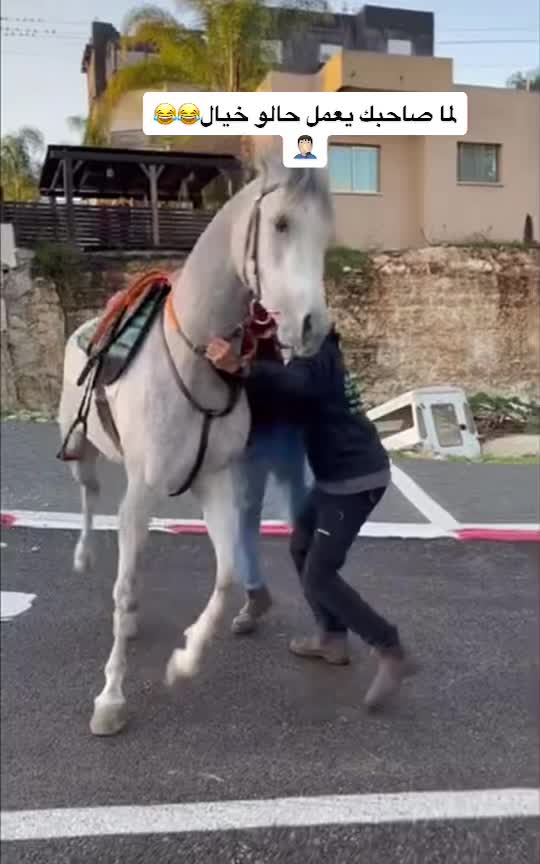 @חוסיין כעביה🐎
