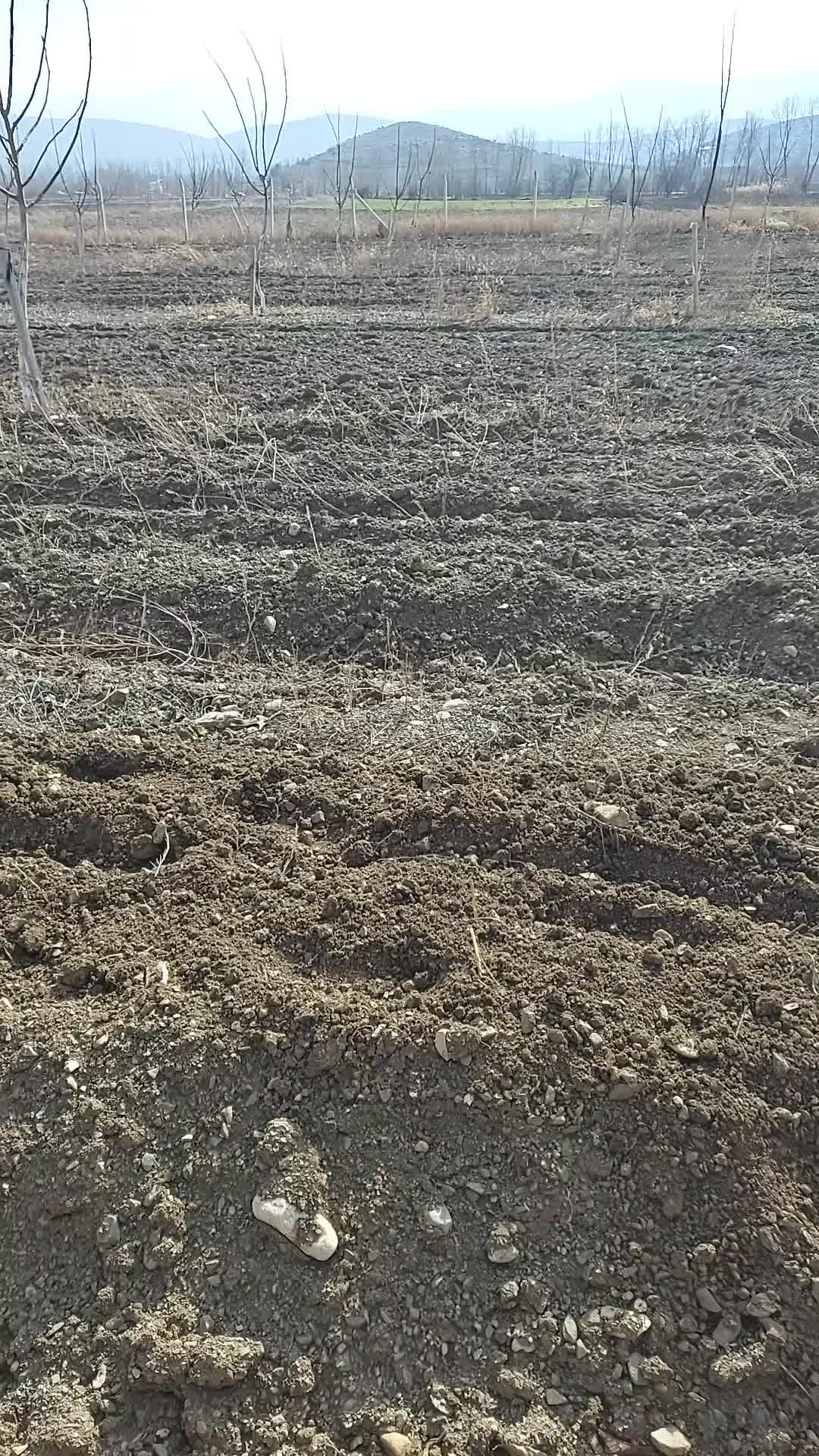 @SALİH SAĞLAM