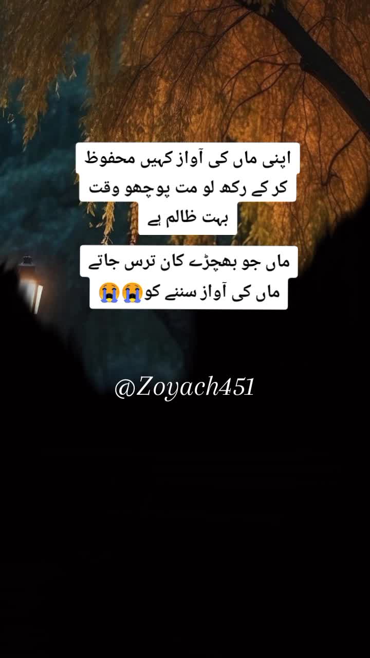 @ZOii..🦋