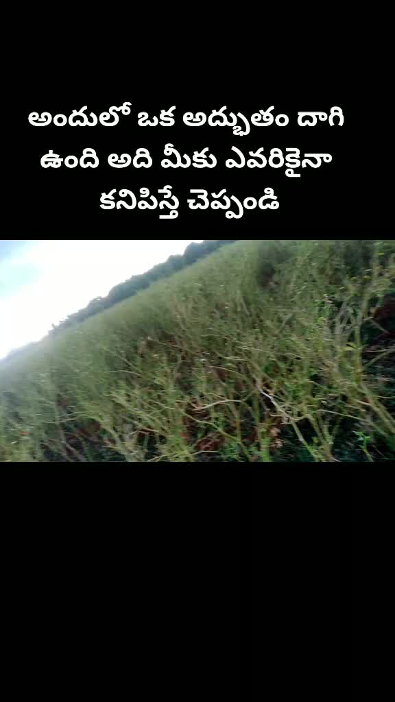 @Venkatesh Venky