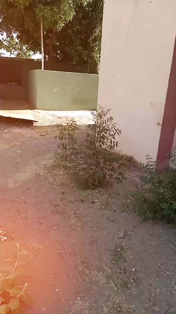 @fyzan23