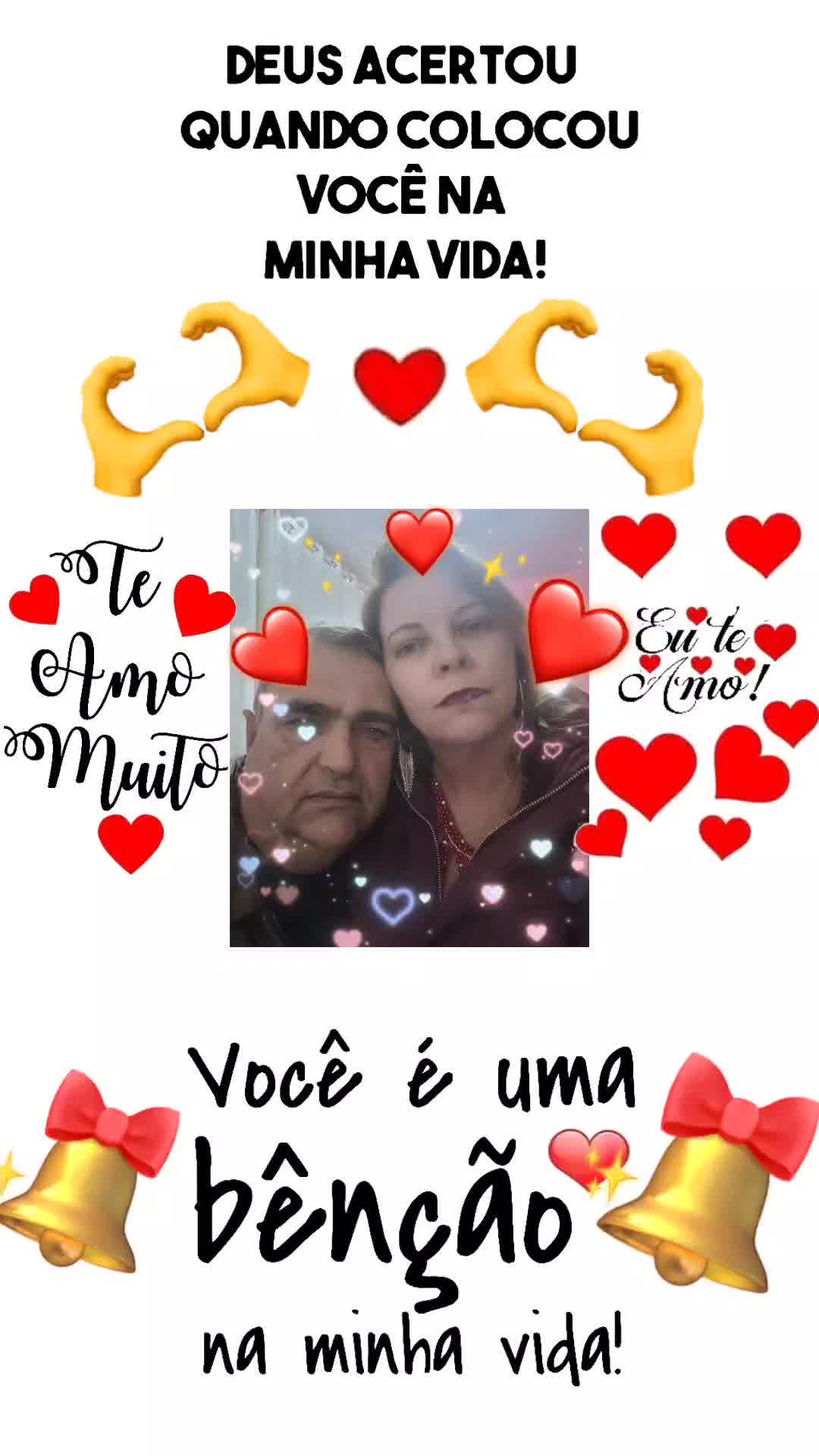 @elisangelabertol51