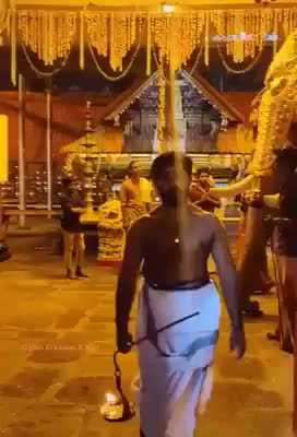@malavika