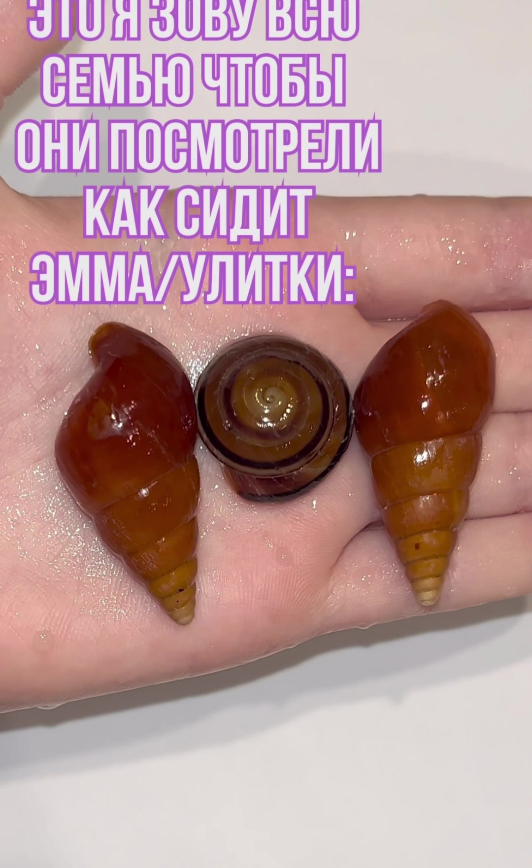 @_.v_snail_v._