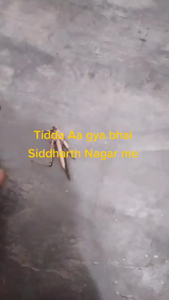 @pranjal8528