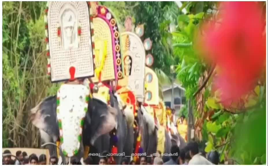 @അപ്പൂസ് ആരാധകൻ