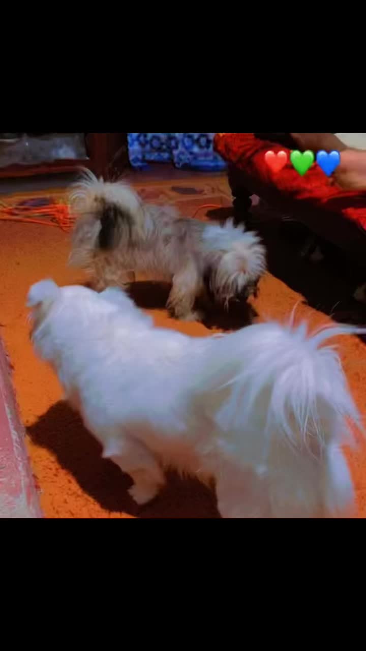 @💜 लेशाना नायडू 💜