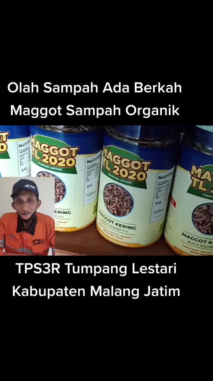 @wartamalang
