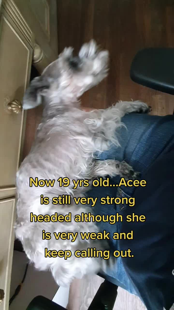 @Acee