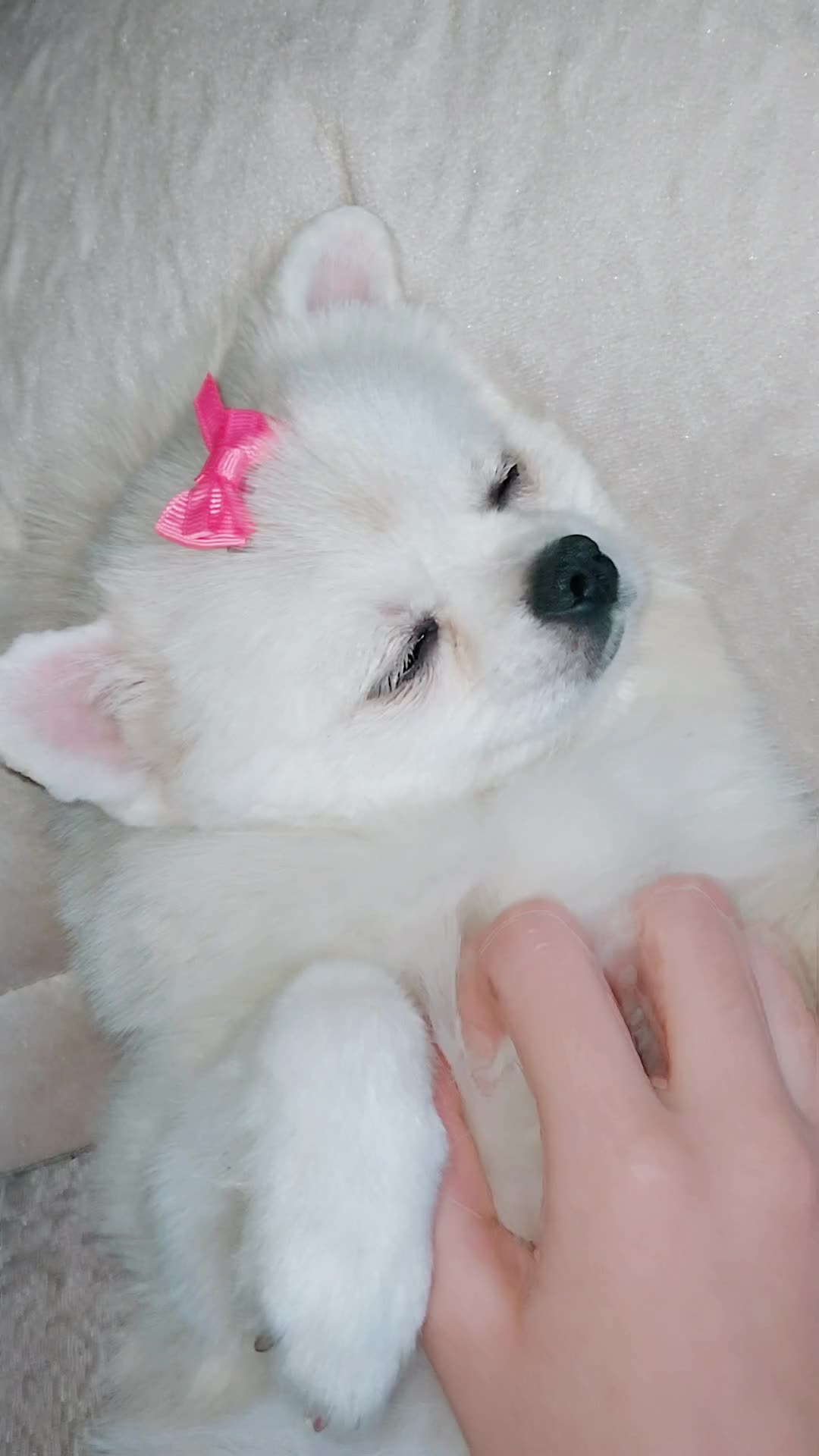 @M I L E N A