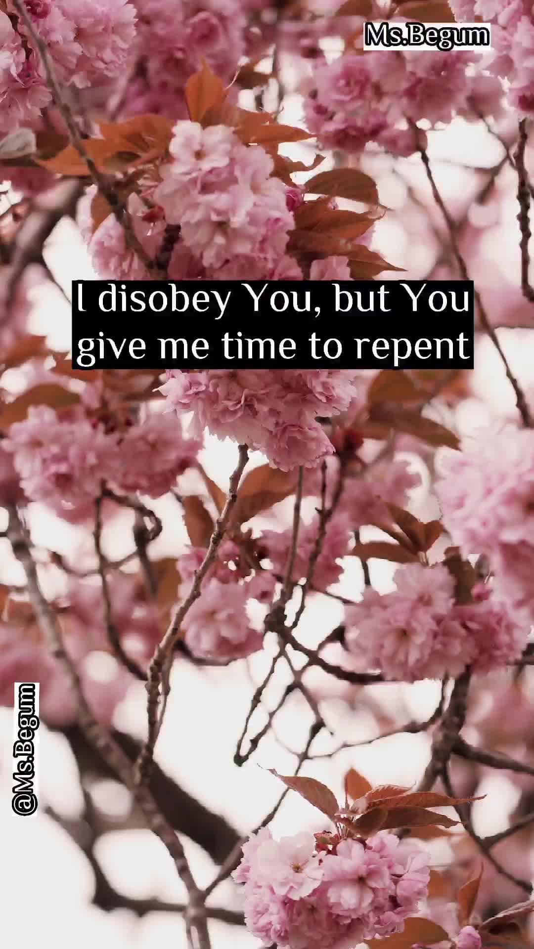 @Ms.Begum🥀