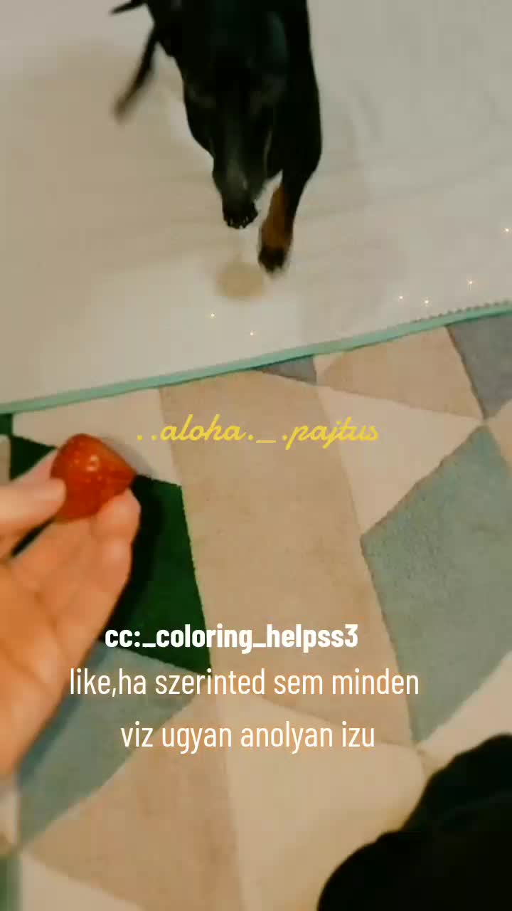 @❤️!abba hagytam!❤️