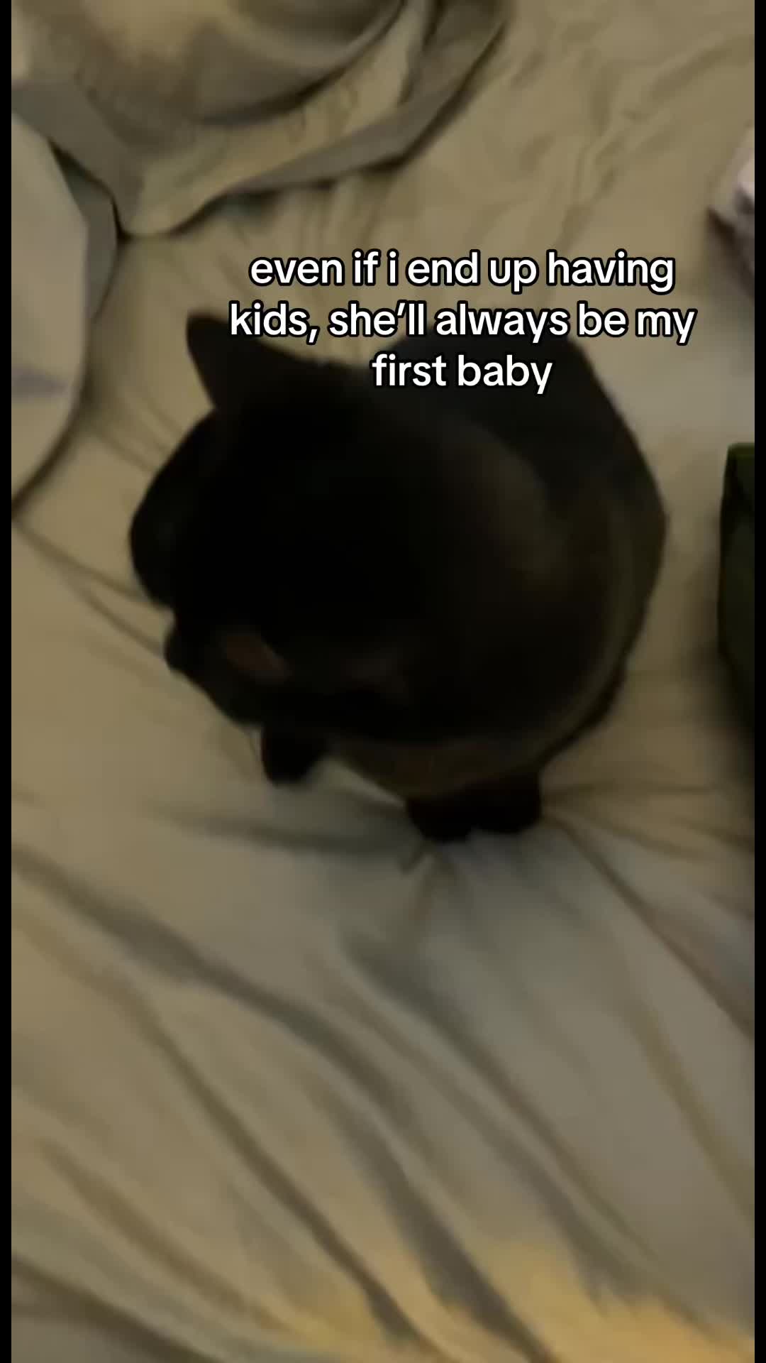 @🐈&zwj;⬛
