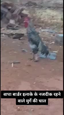 @kya karoge mera
