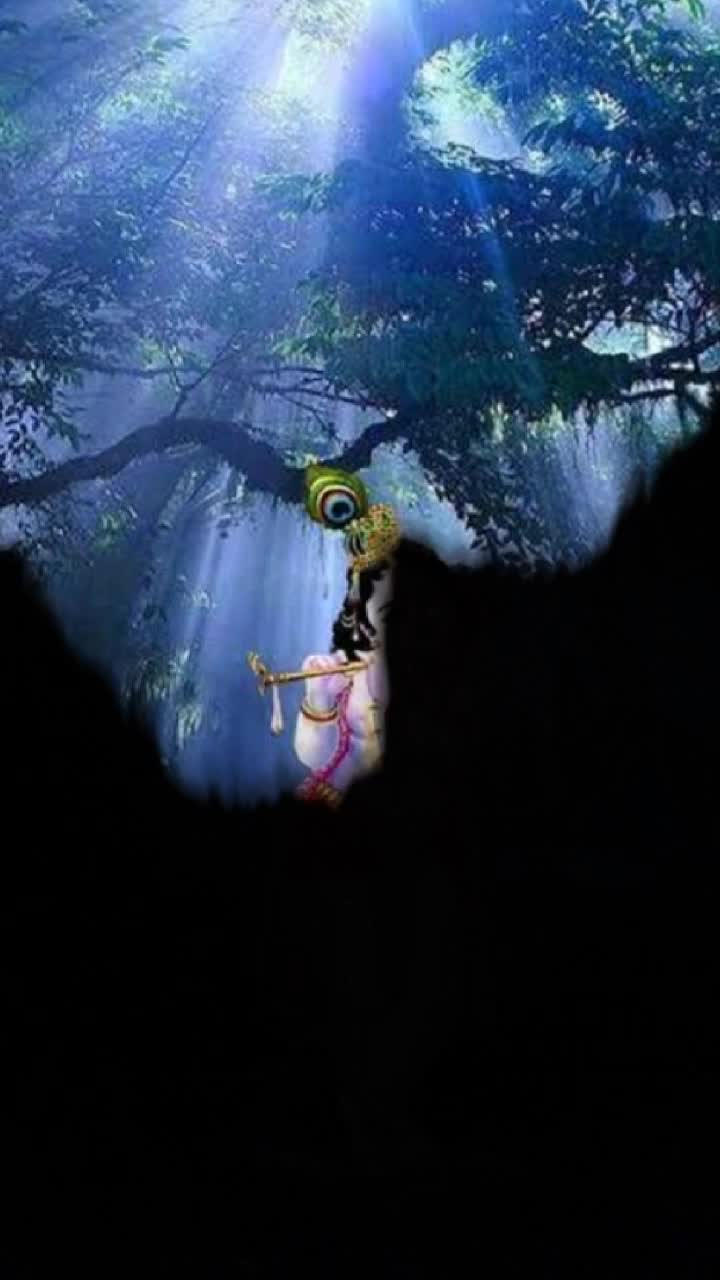 @Suthar Arjun