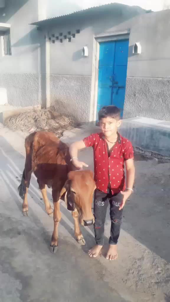 @Yug Aal Virat