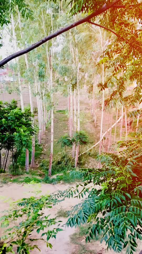 @Simmu Pathak