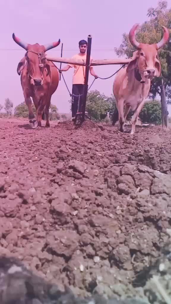 @Shriram Jangle Patil