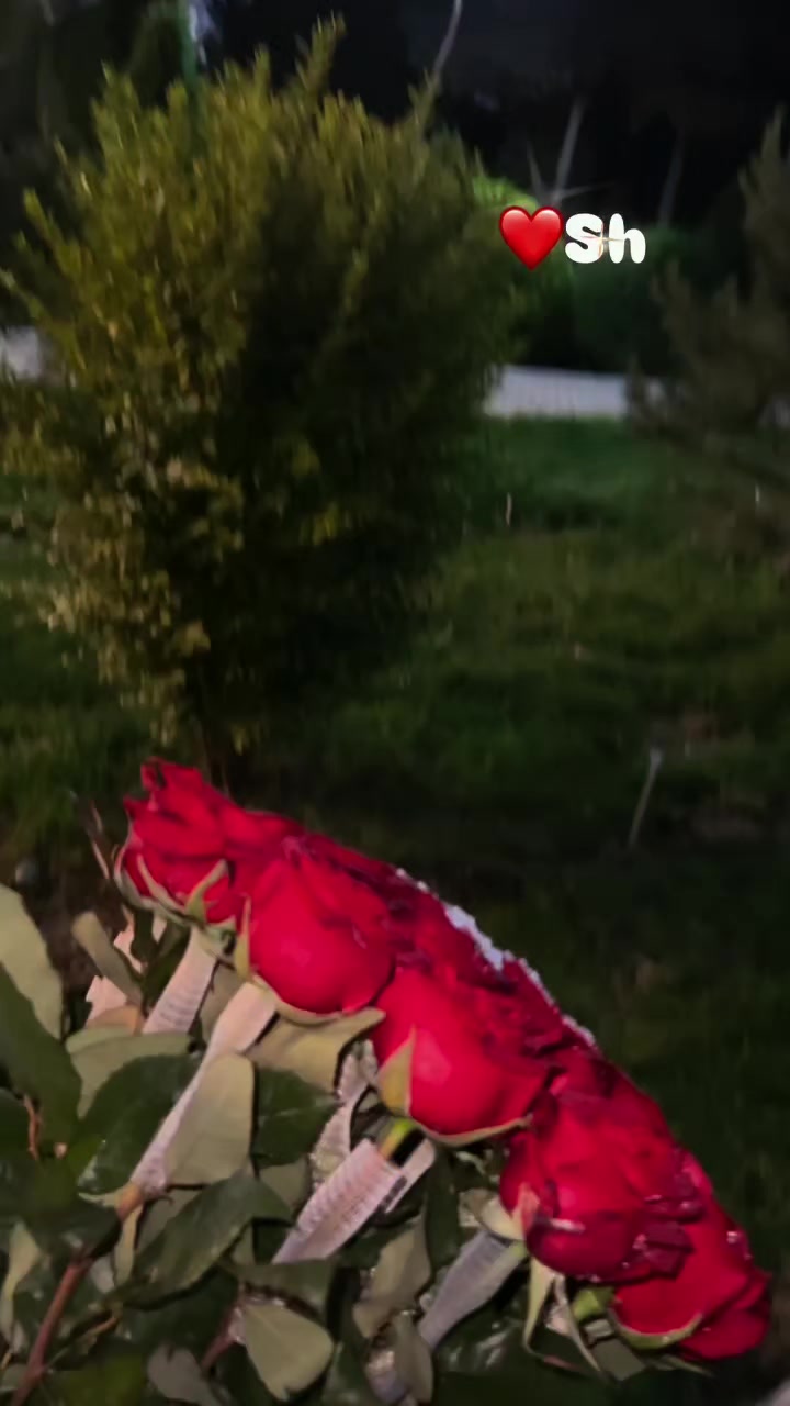 @🦋FaRıShtaGıNaM🦋