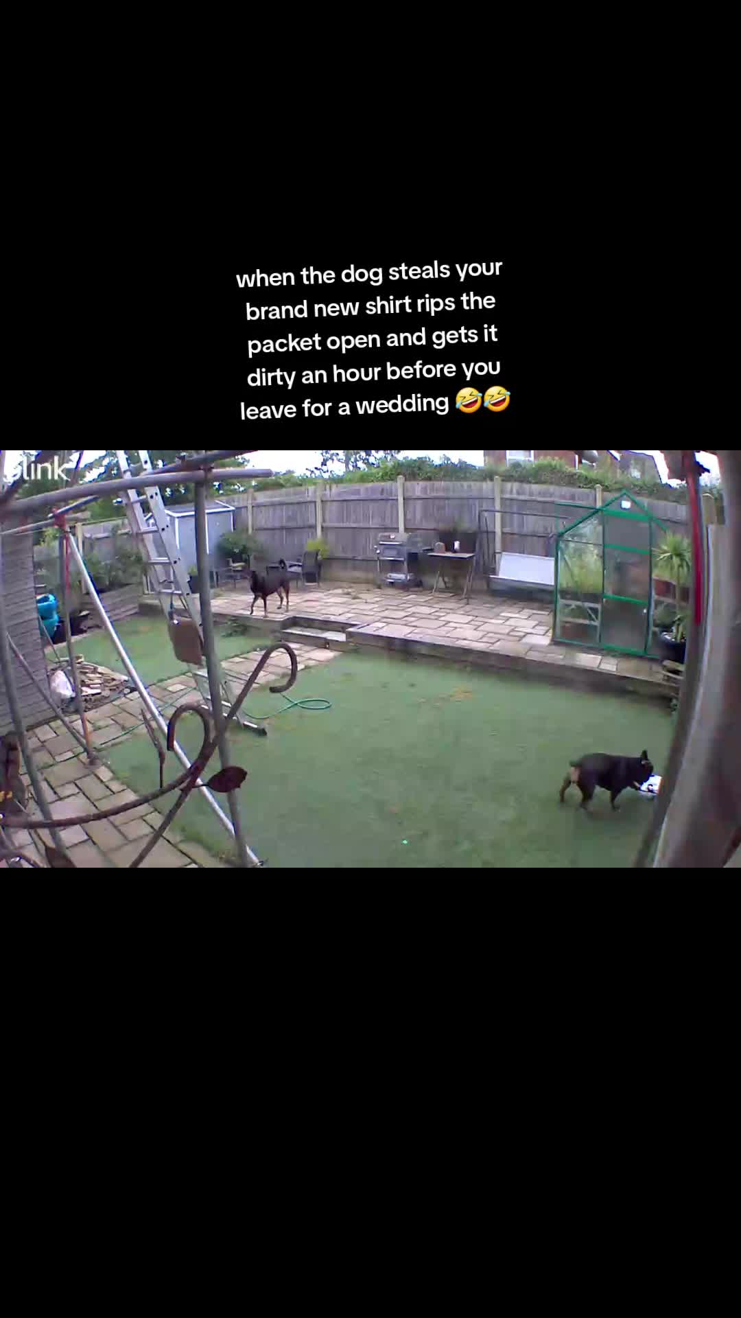 @Patti and Bella 🐾❤️🐶