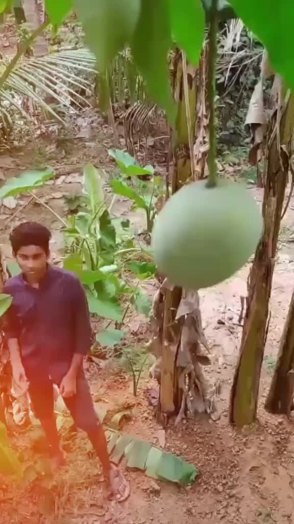 @&radic;&icirc;J&atilde;Y &szlig;H&ucirc;r&icirc;y&atilde;